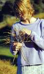 Jo Sharp DESERT GARDEN ARAN COTTON yarn

Somerville pattern

Pattern Book Three - Holiday Island